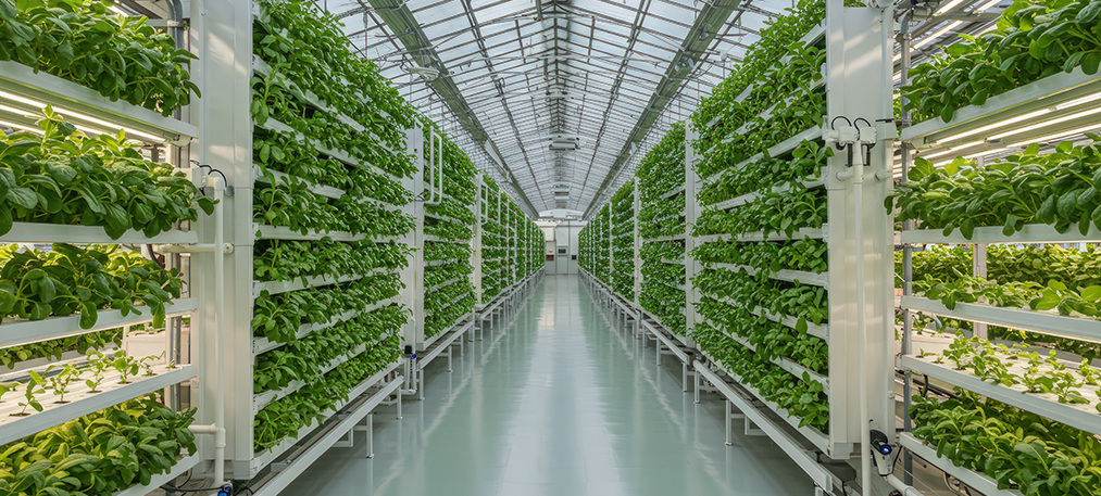 Blog cover image about nanobubbles in mineral processing for fine particle recovery