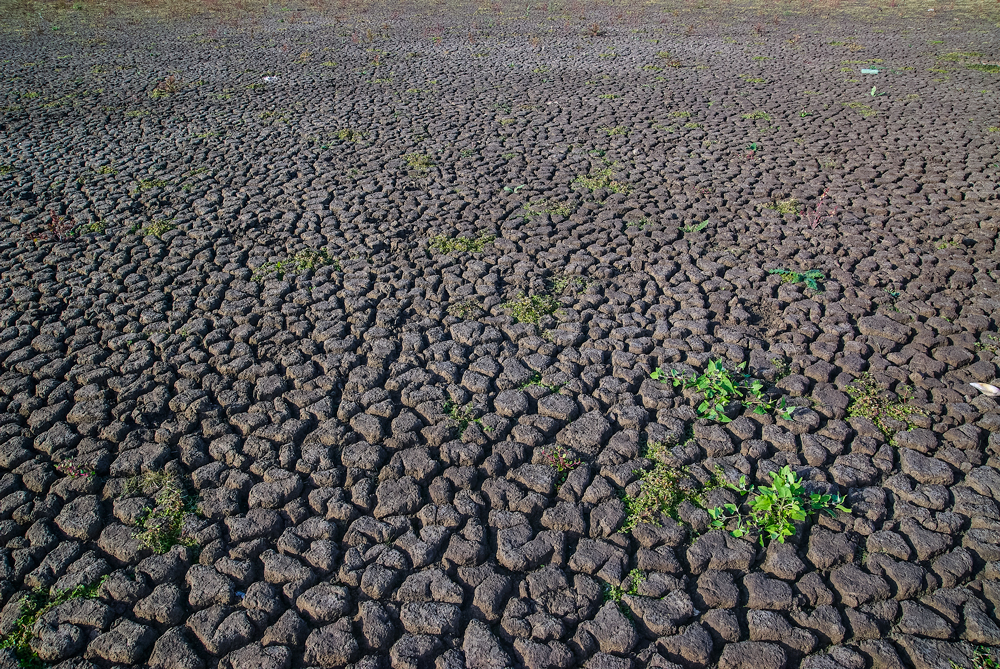 Drought and Water Loss: How Nanobubbles Can Help Brazil