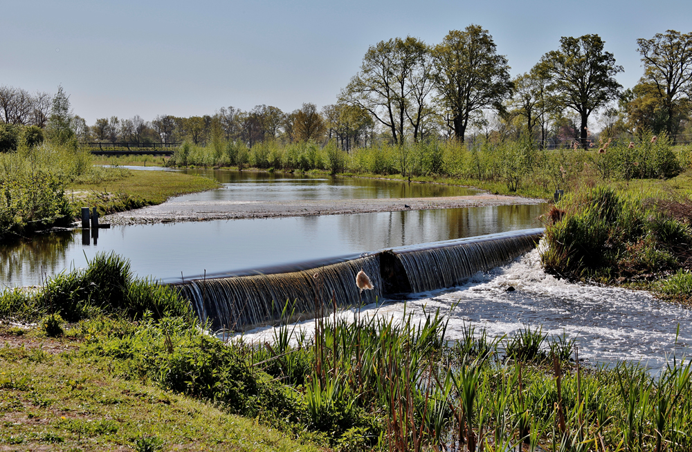 From Farm to River: Restoring Watersheds with Nanobubbles