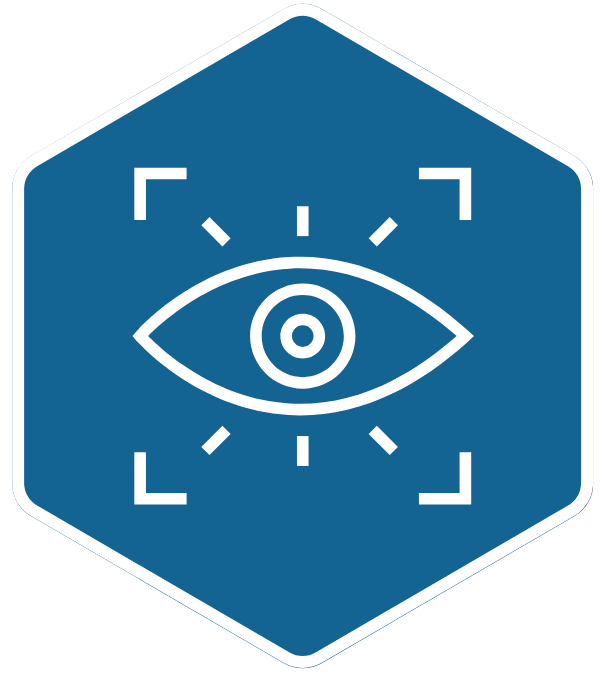 vision icon