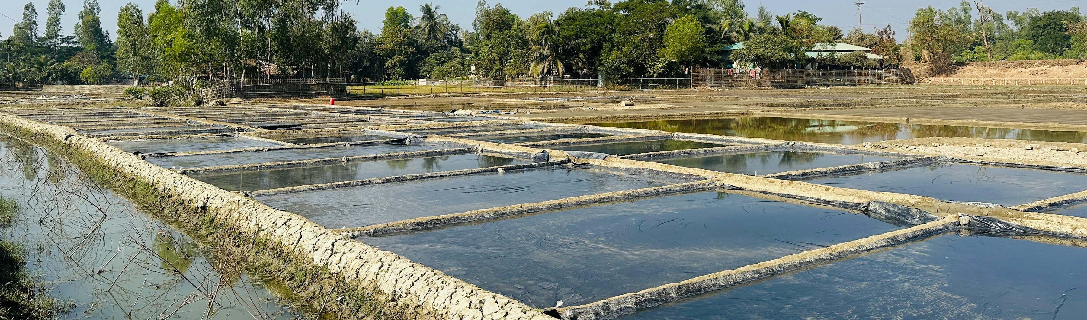 Aquaculture