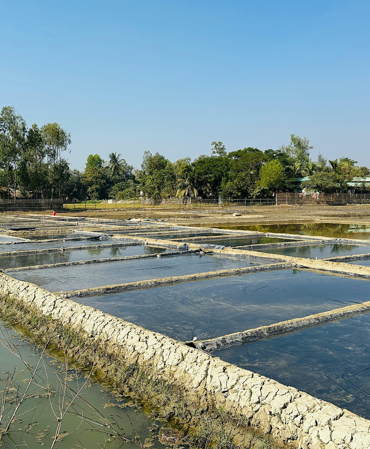 AQUACULTURE