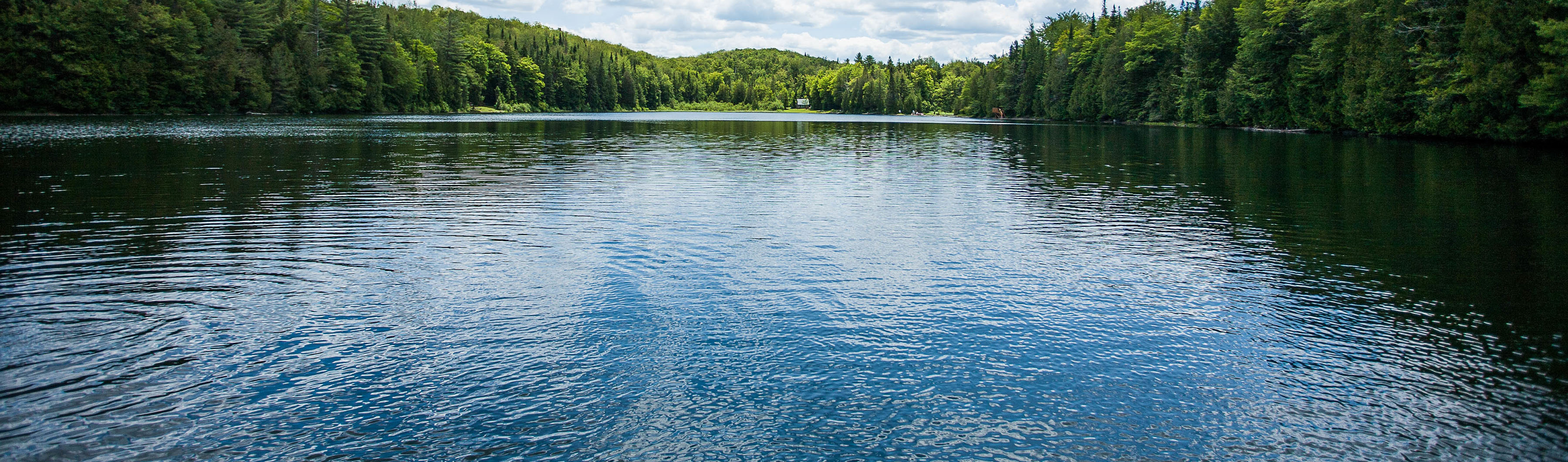 Lake Rejuvenation