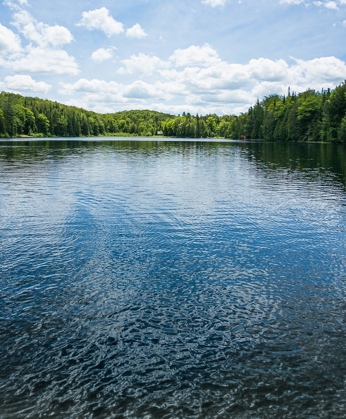 LAKE REJUVENATION