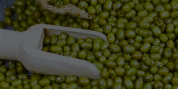 Nanobubble Technology for Seed Germination Enhancement