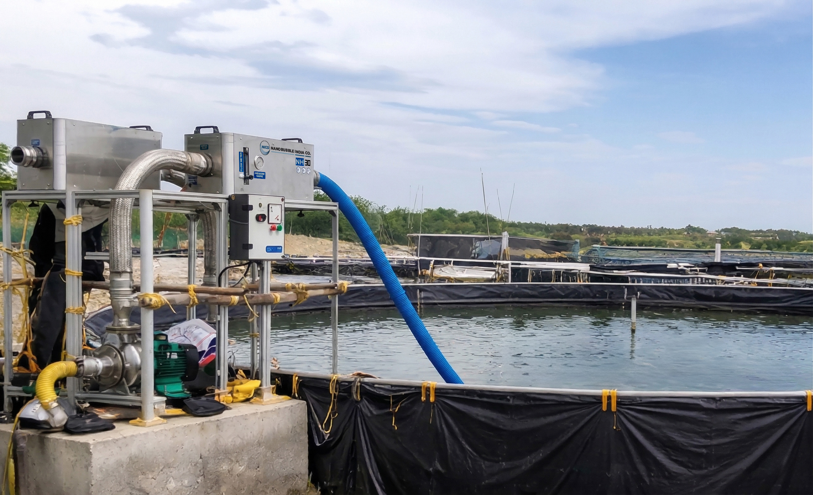 Shrimp Aquaculture & RAS Optimization