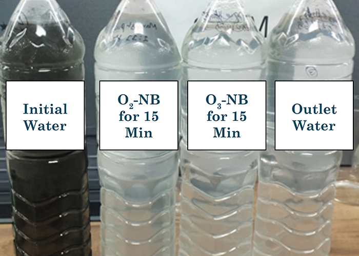 Performance Outcomes