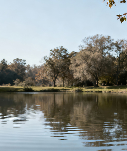 Lake Restoration